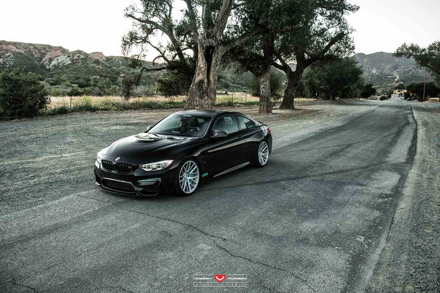 Gallery VOSSEN VPS-308 vossen_VPS308_Mono_Gallery_1.jpg